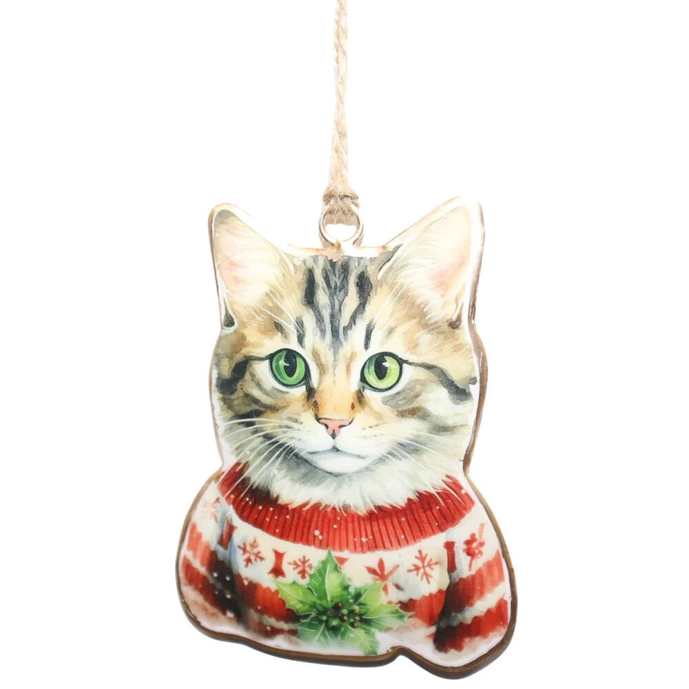 CHRISTMAS CAT OR DOG WEARING JUMPER