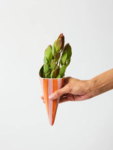 Load image into Gallery viewer, FOLLY WALL VASE - PINK STRIPE
