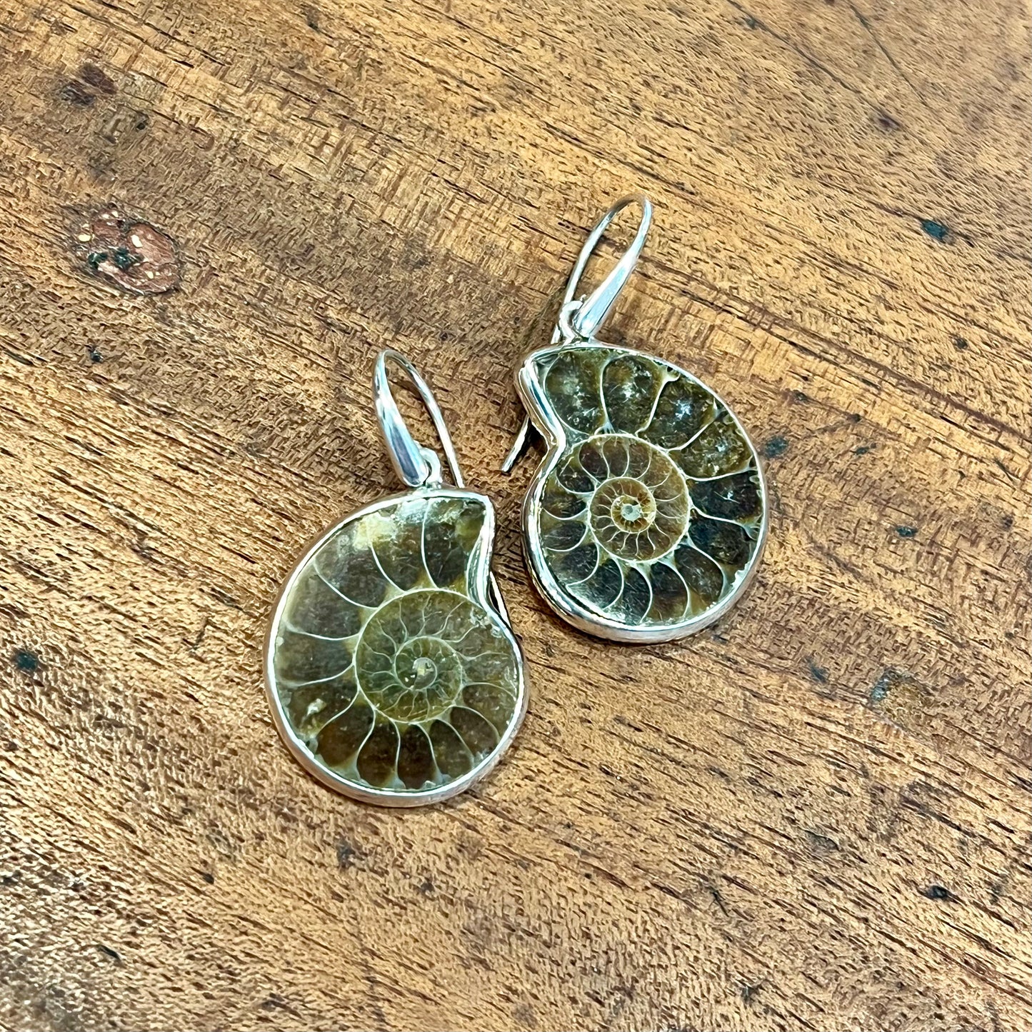 AMMONITE & SILVER EARRINGS