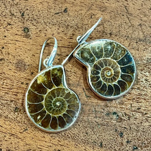 Load image into Gallery viewer, AMMONITE &amp; SILVER EARRINGS