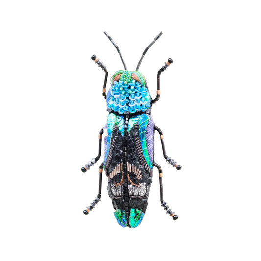 BROOCH - ULKEI BEETLE
