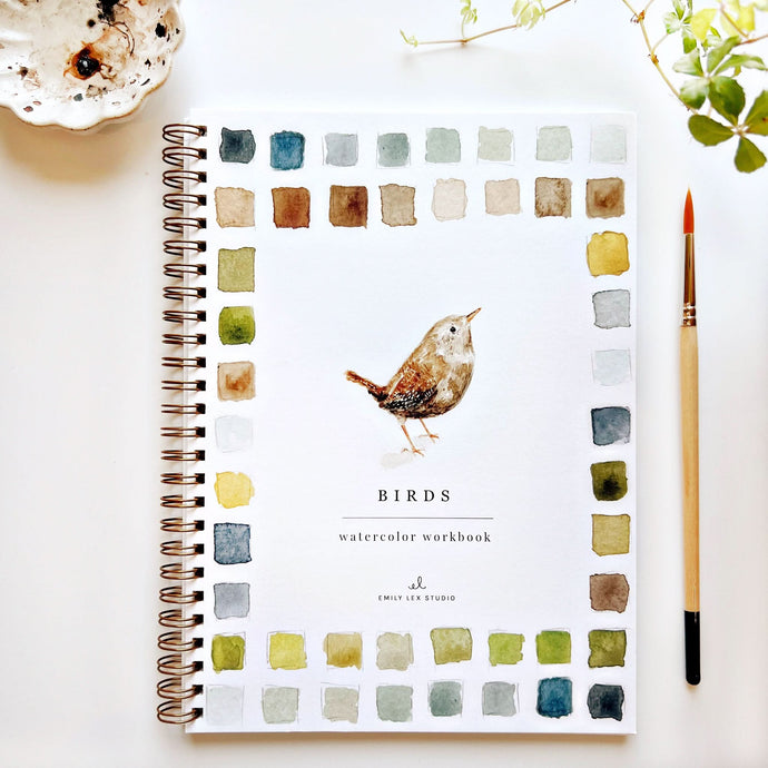BIRDS WATERCOLOUR WORKBOOK
