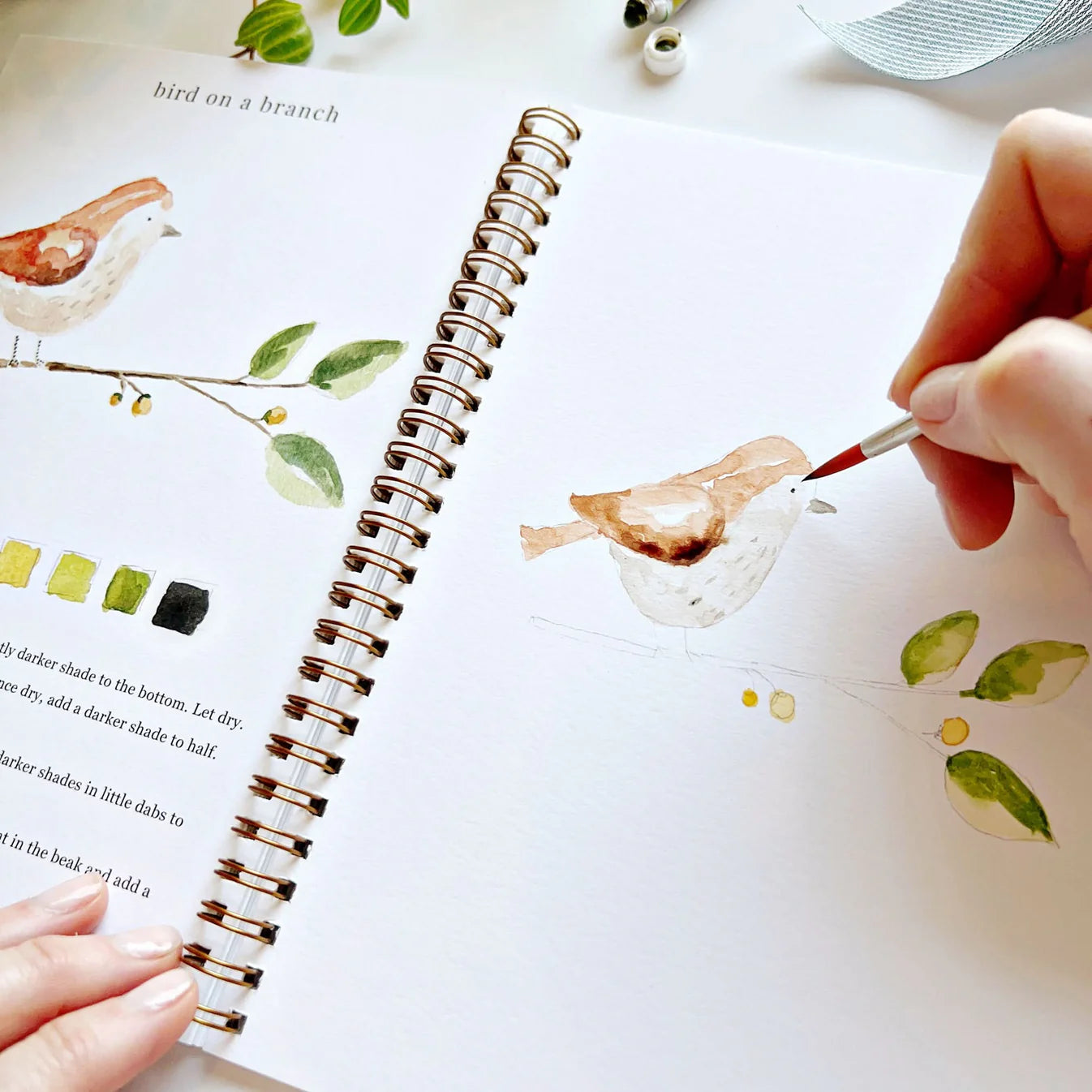 ANIMALS WATERCOLOUR WORKBOOK