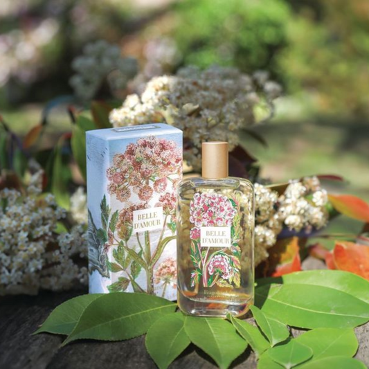 FRAGONARD BELLE D’AMOUR EDT