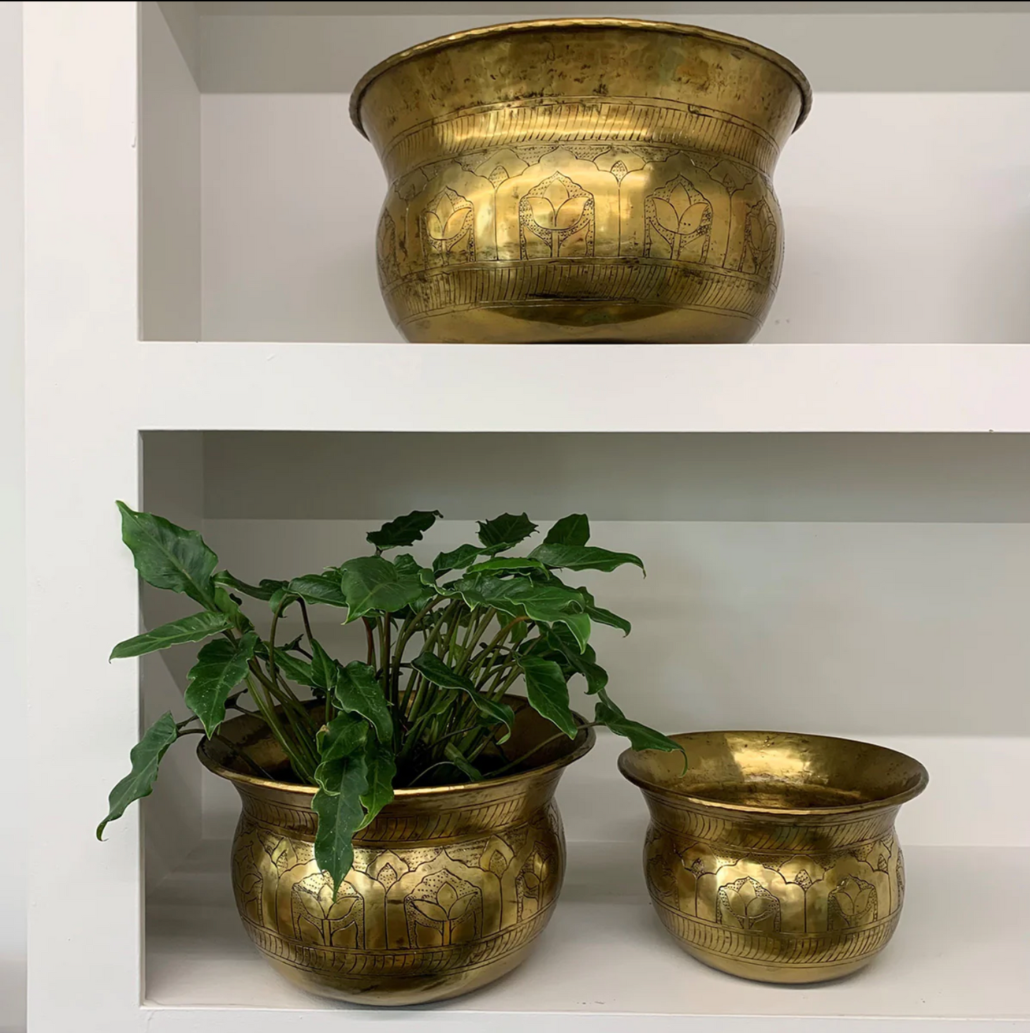 Moghul Planter - Small - Antique Gold