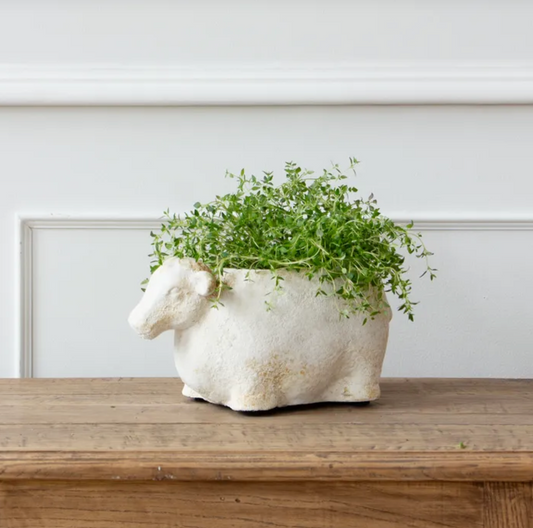 SHEEP FLOWER POT