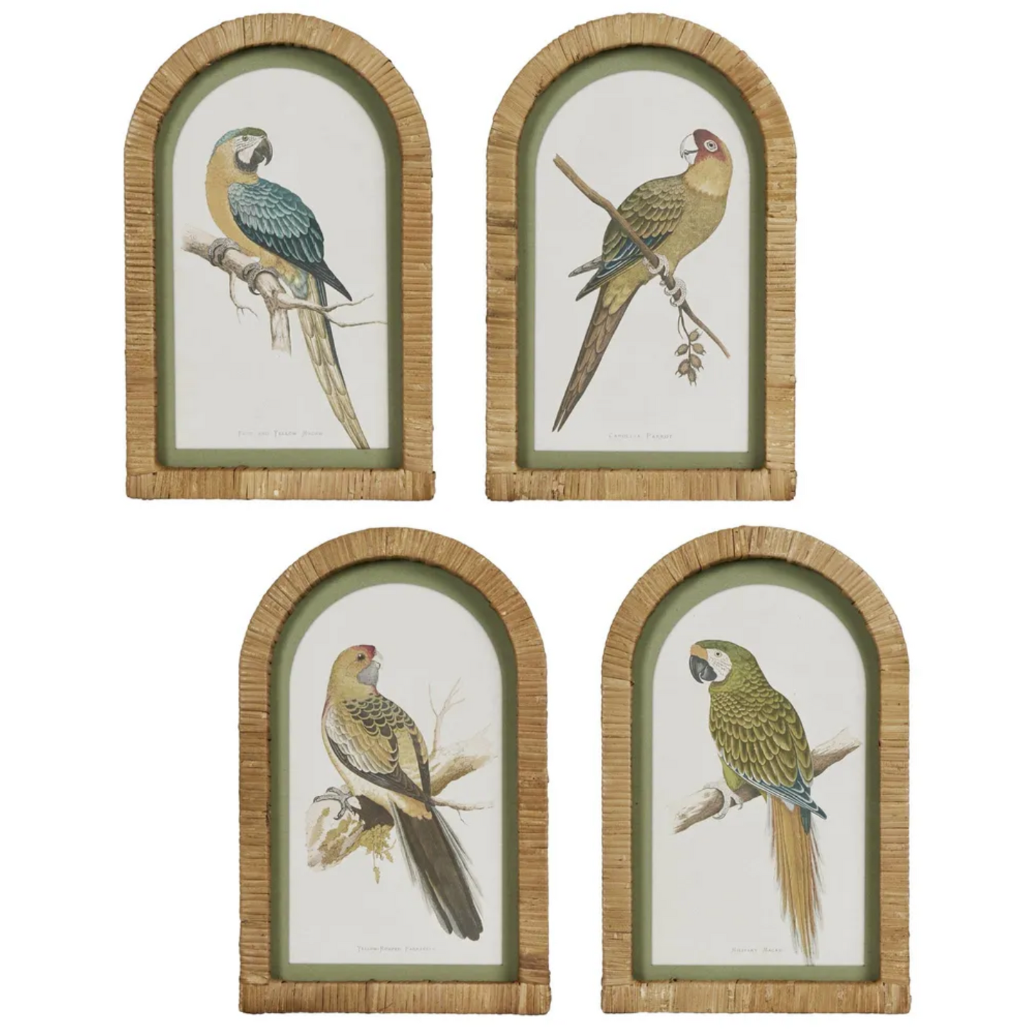 PARROTS IN ARCHES WALL ART SET OF 4