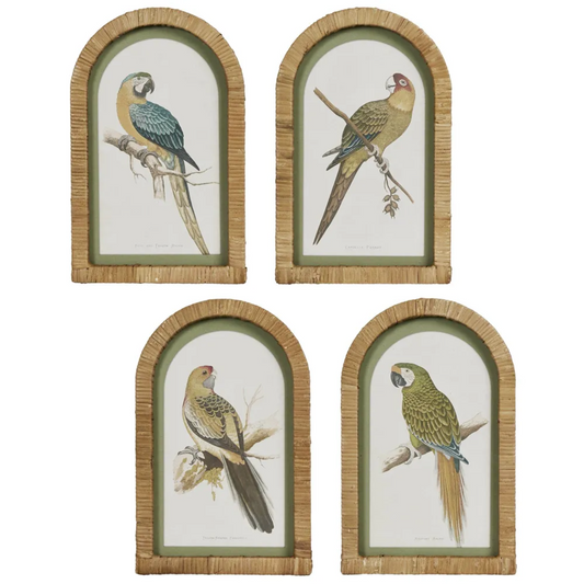 PARROTS IN ARCHES WALL ART SET OF 4