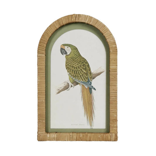 PARROTS IN ARCHES WALL ART SET OF 4
