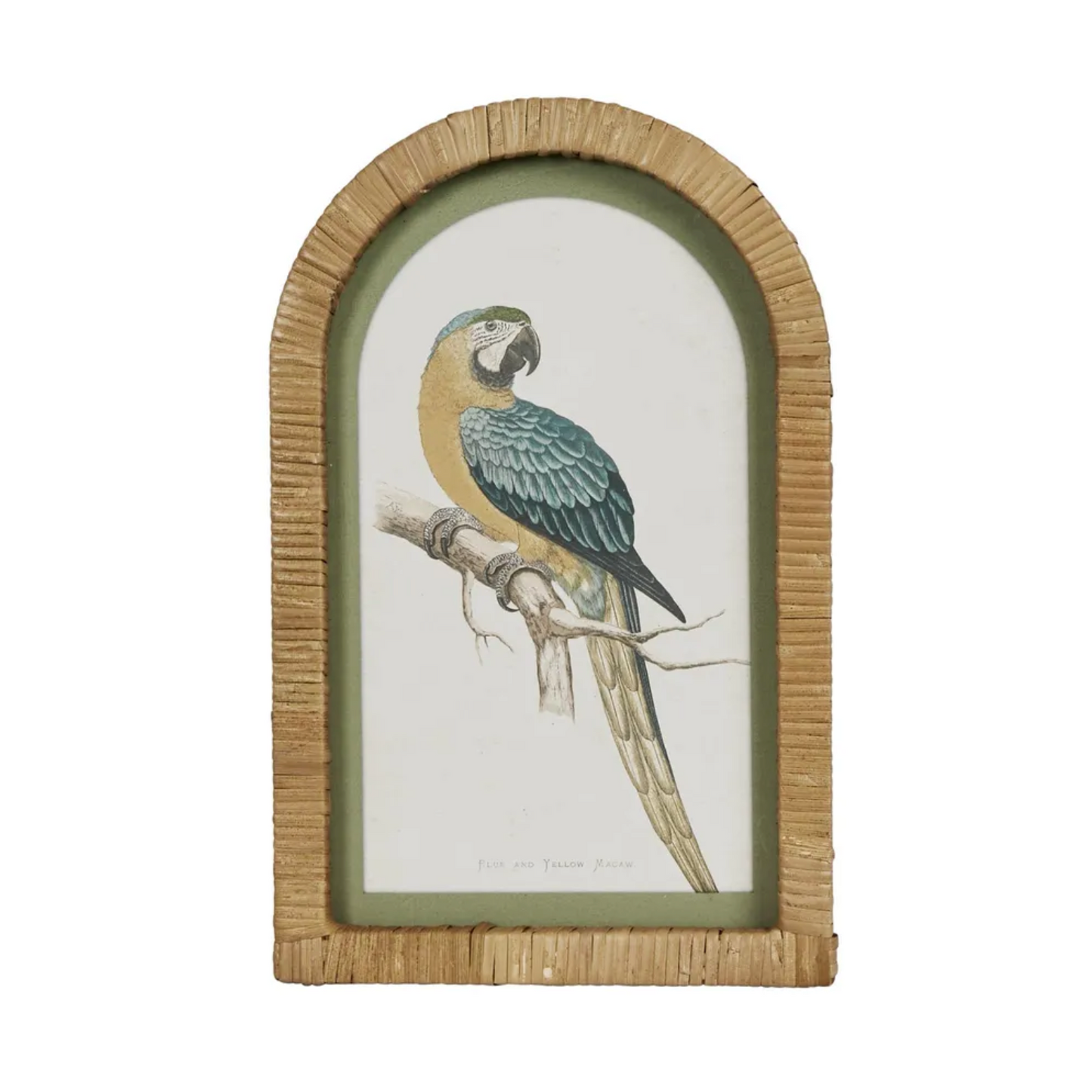 PARROTS IN ARCHES WALL ART SET OF 4