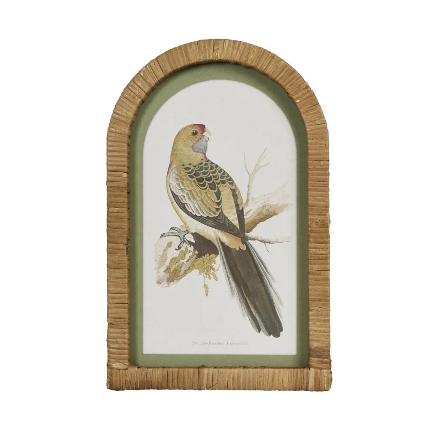 PARROTS IN ARCHES WALL ART SET OF 4