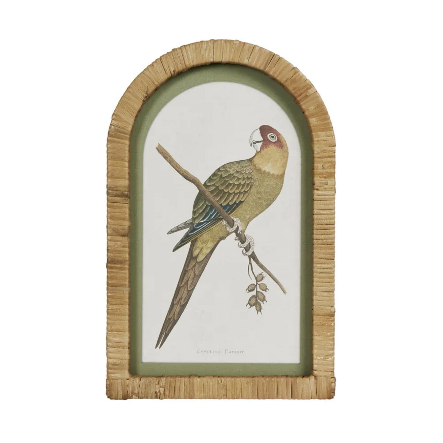 PARROTS IN ARCHES WALL ART SET OF 4