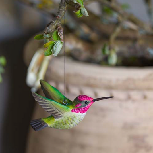 ANNA'S HUMMINGBIRD HANDCARVED DECO