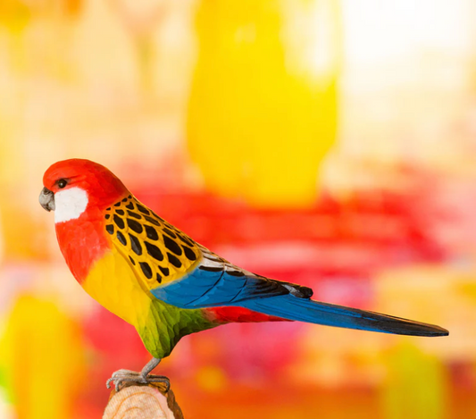 EASTERN ROSELLA HANDCARVED DECO BIRD