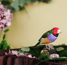 Load image into Gallery viewer, GOULDIAN FINCH HANDCARVED DECO BIRD