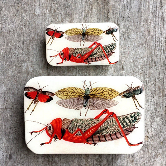 CRICKET STORAGE TIN - LARGE