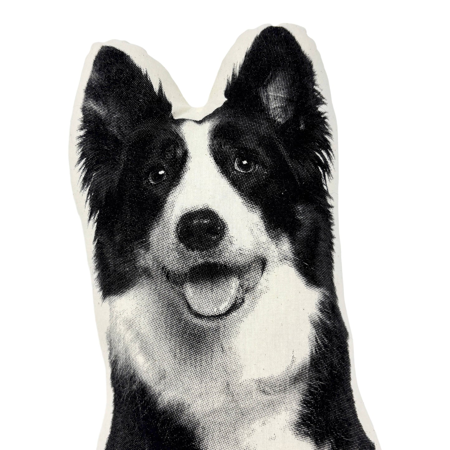 BORDER COLLIE PILLOW