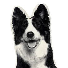 Load image into Gallery viewer, BORDER COLLIE PILLOW