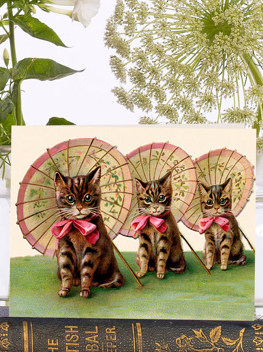 LITTLE VINTAGE GREETING CARD - THREE KITTENS