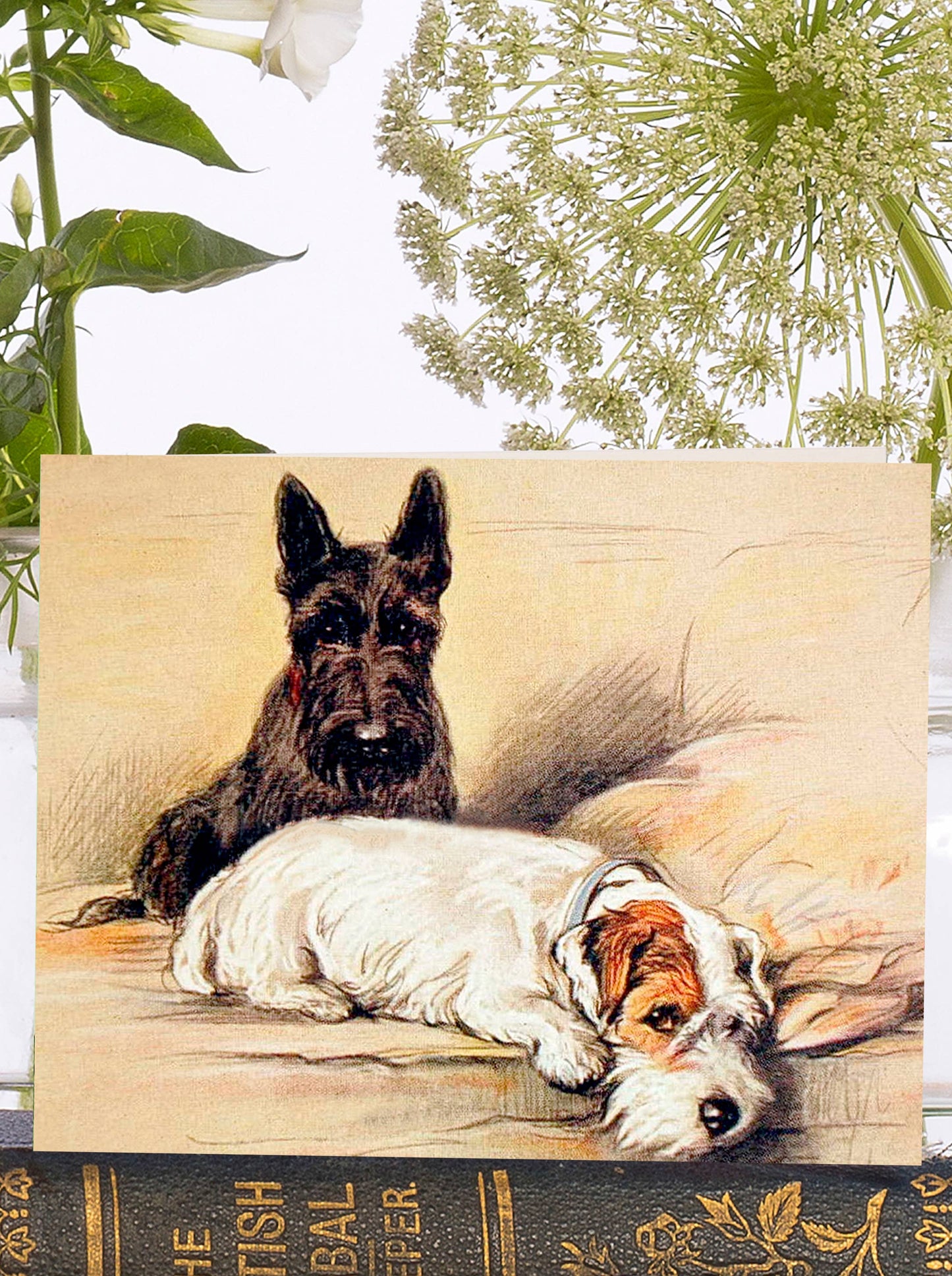 LITTLE VINTAGE GREETING CARD - ON THE SOFA