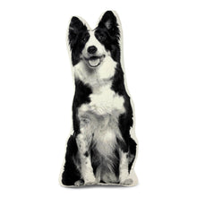 Load image into Gallery viewer, BORDER COLLIE PILLOW