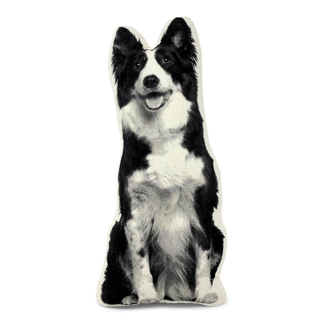 BORDER COLLIE PILLOW