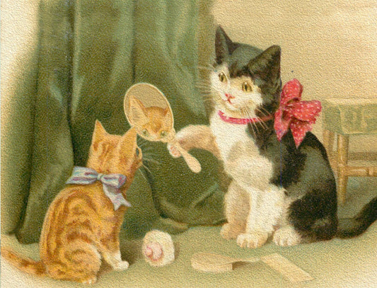 LITTLE VINTAGE GREETING CARD - THE MIRROR