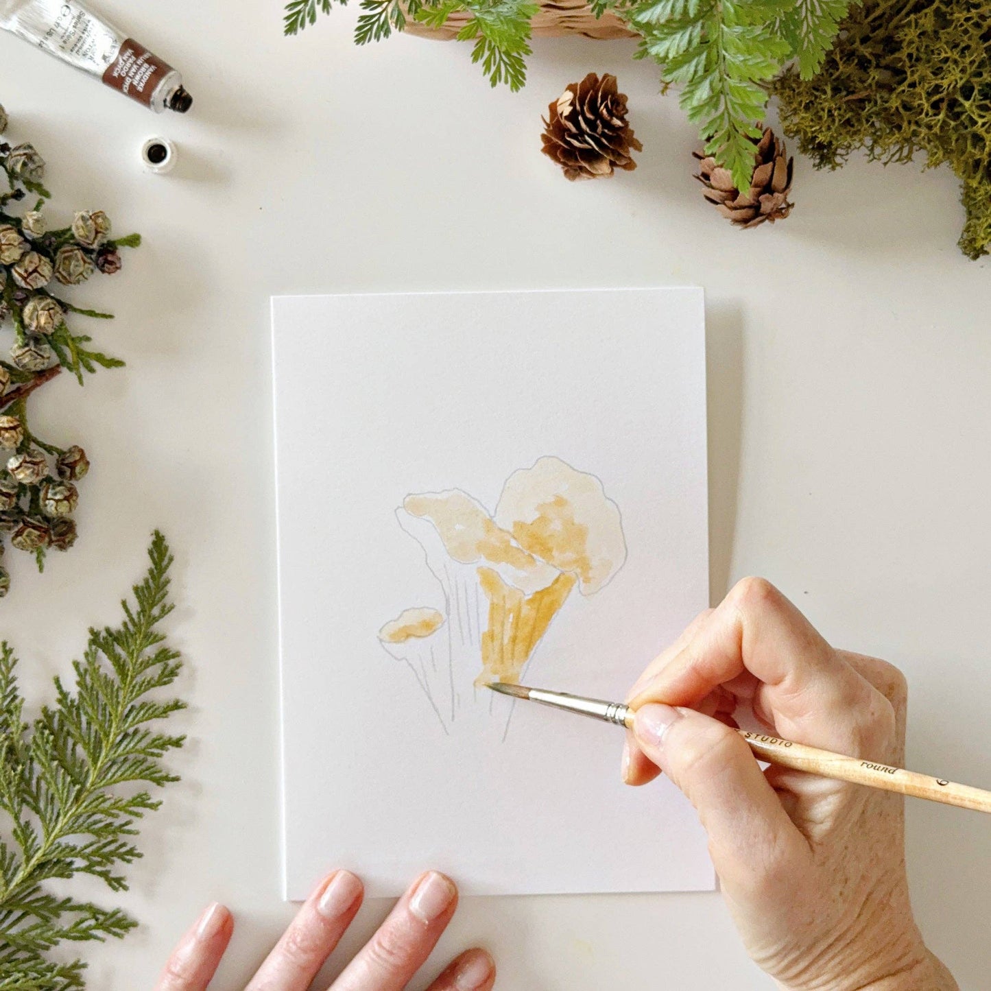 MUSHROOMS PAINTABLE CARDS