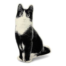 Load image into Gallery viewer, BLACK &amp; WHITE KITTEN PILLOW