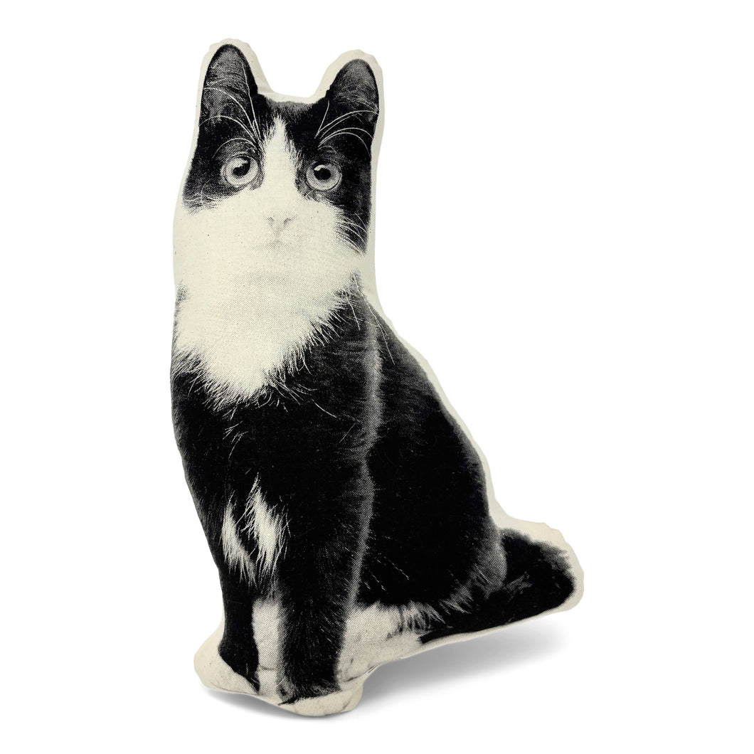 BLACK & WHITE KITTEN PILLOW