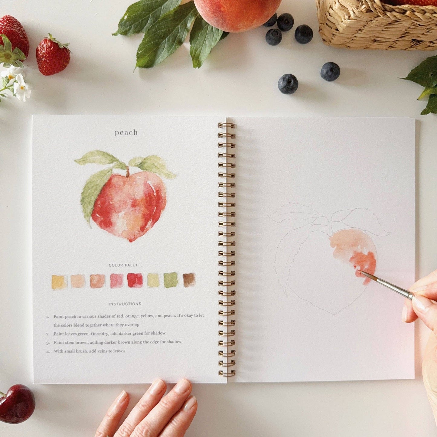 FRUIT WATERCOLOUR BOOK