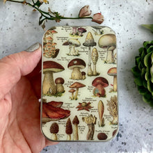 Load image into Gallery viewer, MUSHROOM NIONS STORAGE TIN