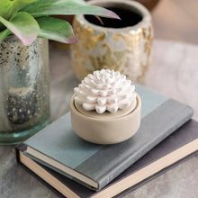 Load image into Gallery viewer, SUCCULENT PORCELAIN DIFFUSER