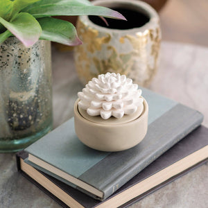 SUCCULENT PORCELAIN DIFFUSER