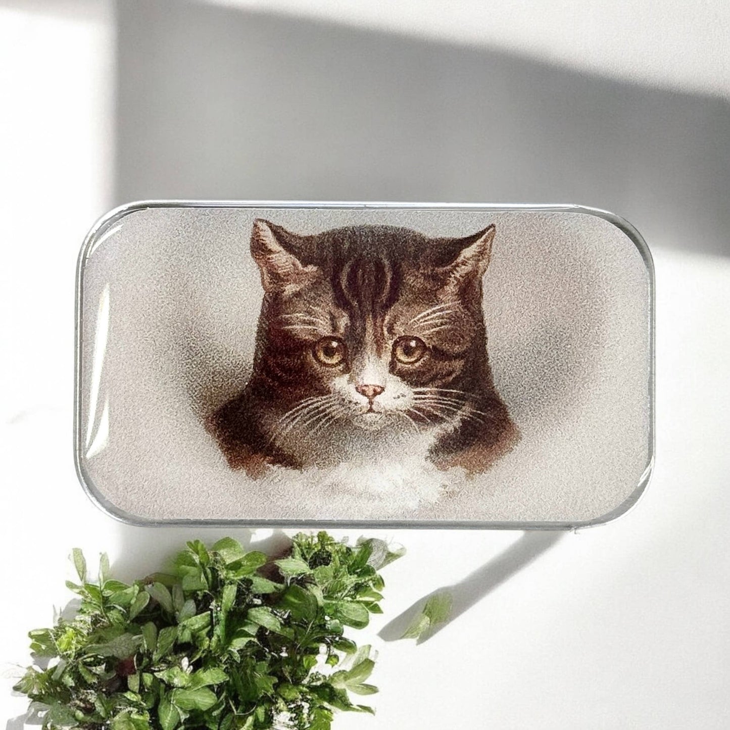 CAT NOTIONS TIN