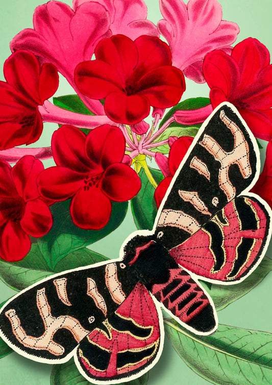 LARGE FANDANGLE GREETING CARD - RED BUTTERFLY