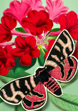 Load image into Gallery viewer, LARGE FANDANGLE GREETING CARD - RED BUTTERFLY