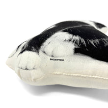 Load image into Gallery viewer, BLACK &amp; WHITE KITTEN PILLOW