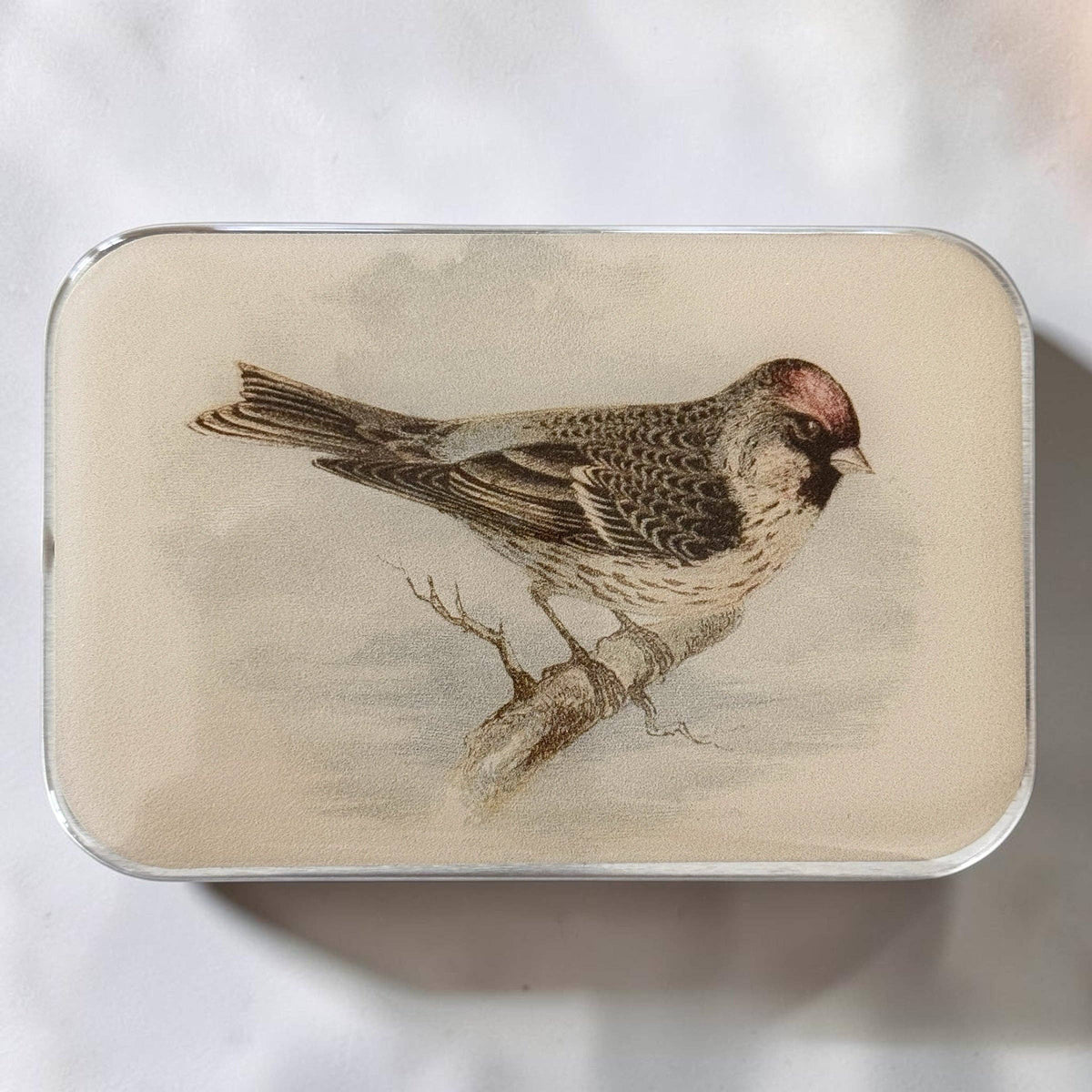REDPOLL BIRD NOTIONS TIN