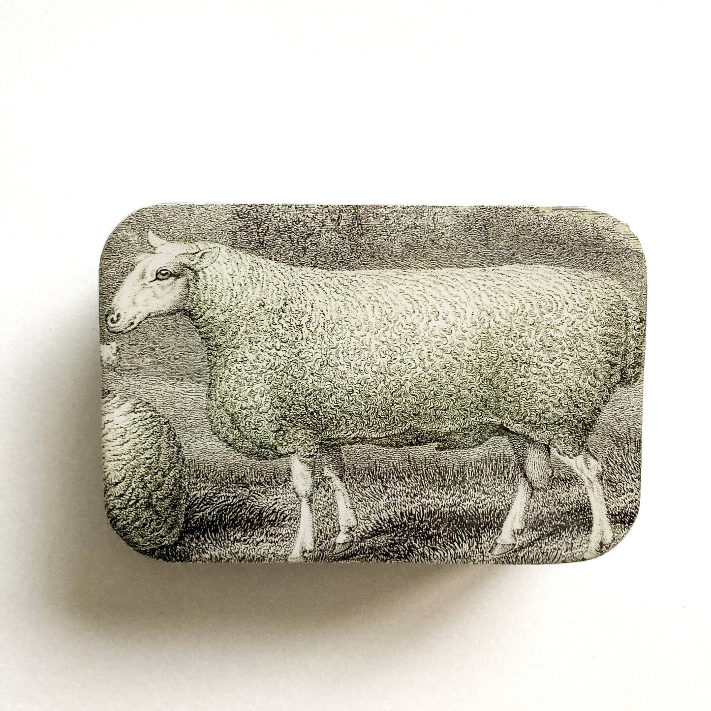 SHEEP KNITTING KIT TIN