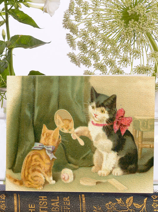 LITTLE VINTAGE GREETING CARD - THE MIRROR