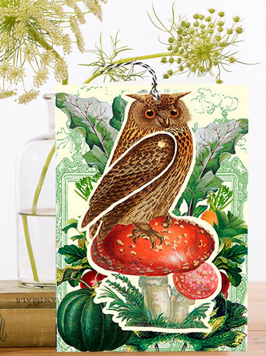 LARGE FANDANGLE GREETING CARD - BROWN OWL