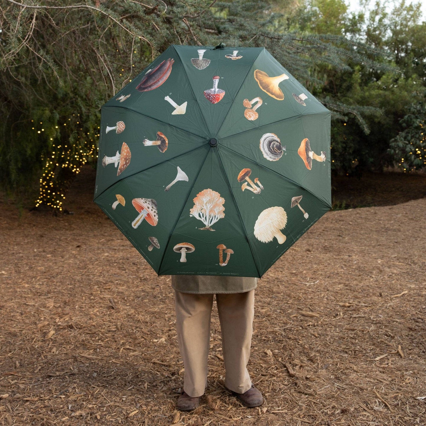 MUSHROOM UMBRELLA