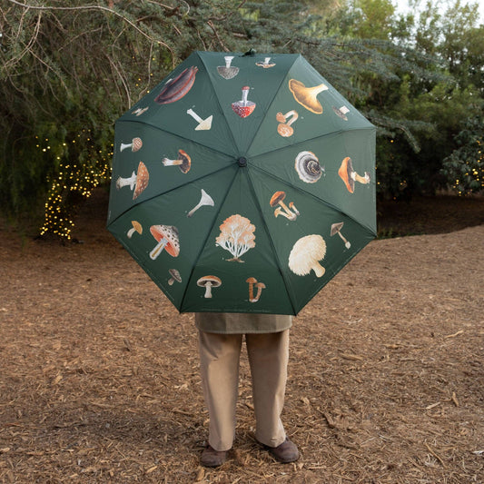 MUSHROOM UMBRELLA