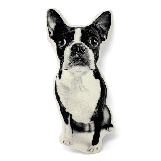 BOSTON TERRIER PILLOW