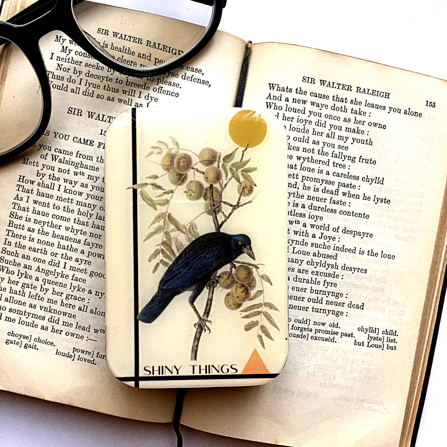 CROW SHINY THINGS TIN - LARGE