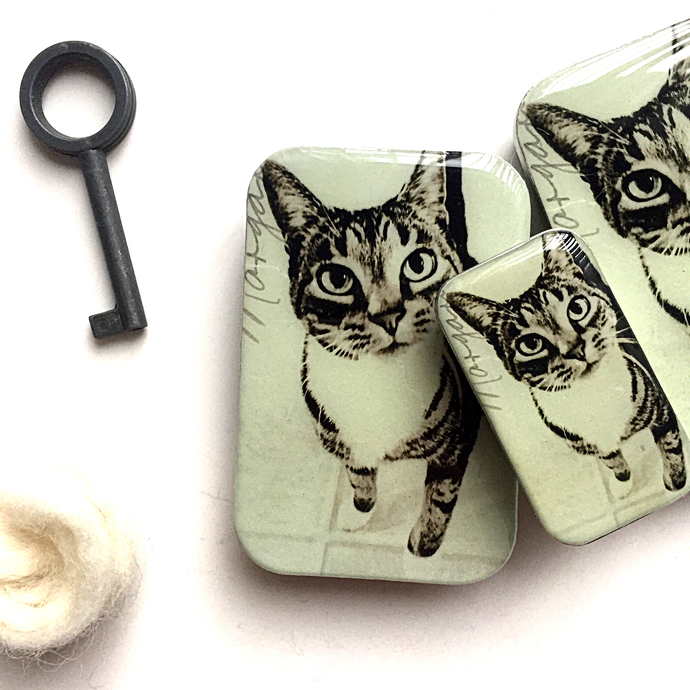 CAT KNITTING NOTIONS TIN - SMALL