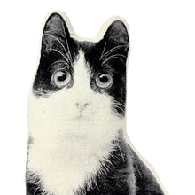 Load image into Gallery viewer, BLACK &amp; WHITE KITTEN PILLOW