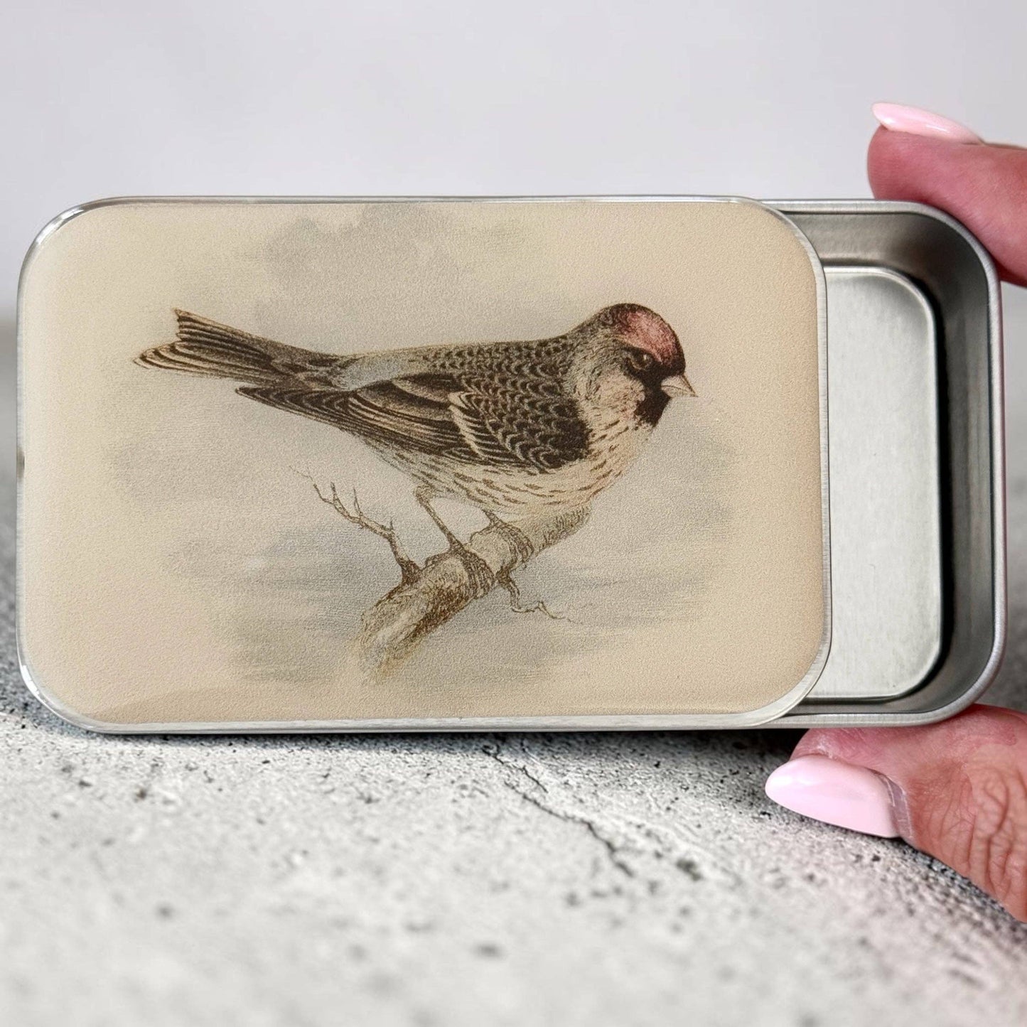 REDPOLL BIRD NOTIONS TIN