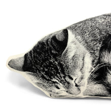 Load image into Gallery viewer, SLEEPING CAT PILLOW